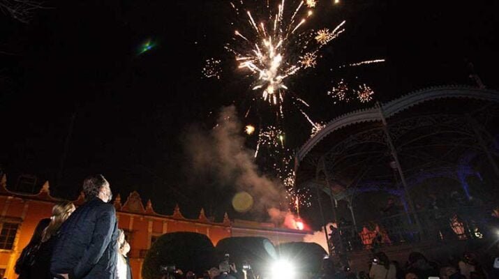 Se enciende el Árbol de la Amistad y Nacimiento Monumental 1 Árbol de la Amistad