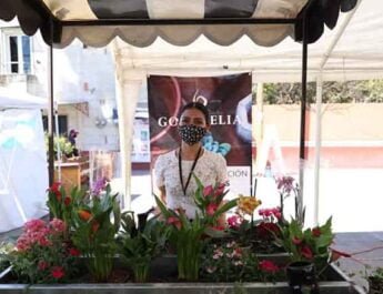 Mercado Agropecuario