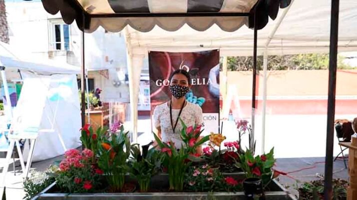 Mercado Agropecuario