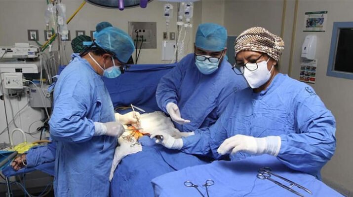 IMSS líder en donaciones y trasplantes en el país 1 IMSS