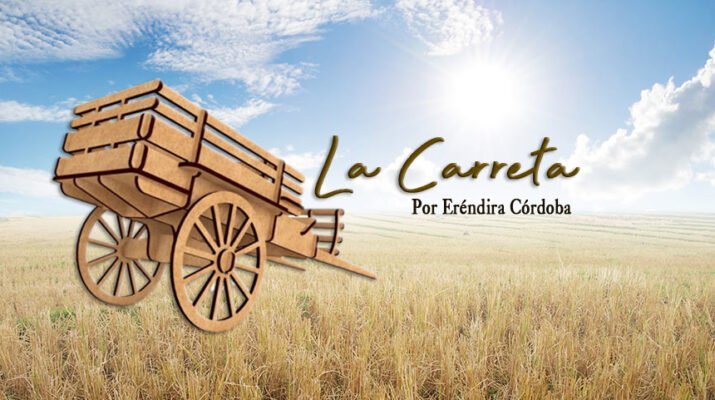 Ir o no a votar por “botarlo” 6 Botarlo