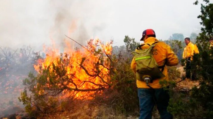 Devastador Incendio en la biosfera El Cielo en Tamaulipas 1 Devastador