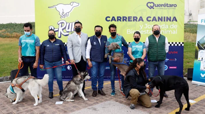 Anuncian segunda carrera canina P-Run 2022 1 carrera canina
