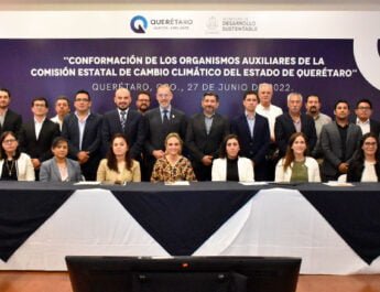 organismos auxiliares