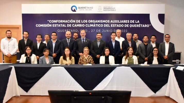 organismos auxiliares