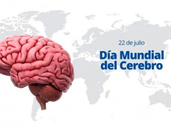 cerebro