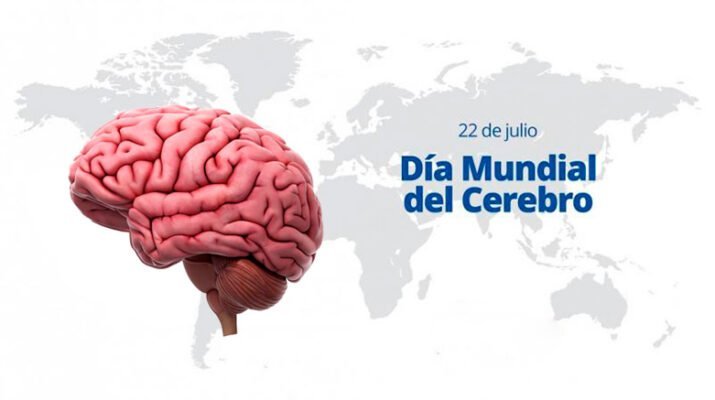 cerebro