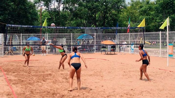 de Voleibol