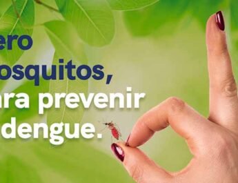 del Dengue