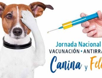 Vacunación Antirrábica