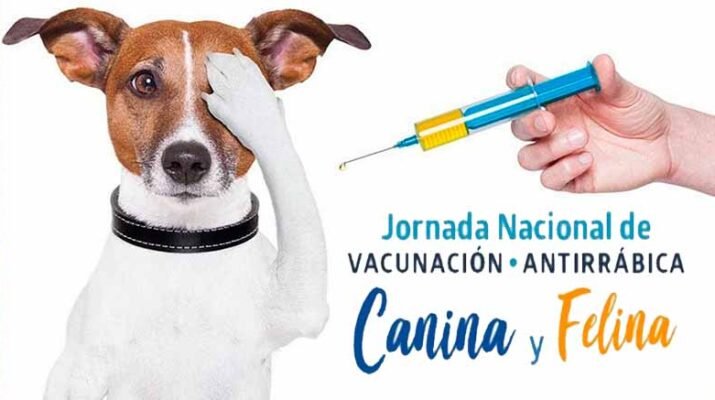 Vacunación Antirrábica
