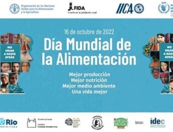 la Alimentación
