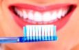 los dientes