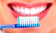 los dientes
