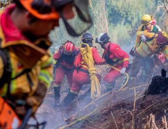 300 incendios