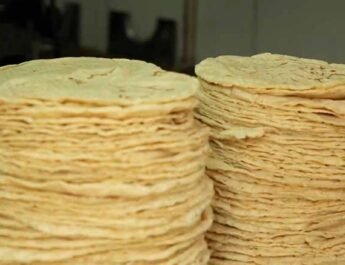 La tortilla