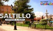 Saltillo