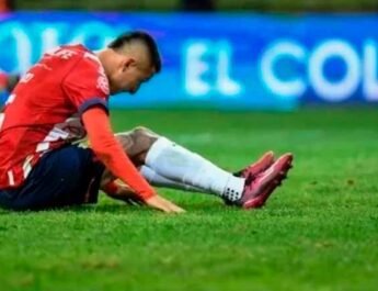 chivas