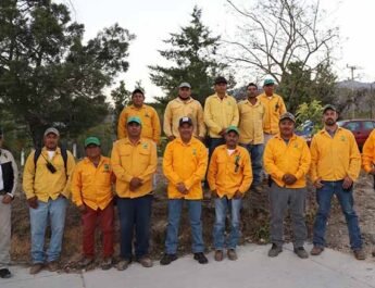 Trabajan Autoridades