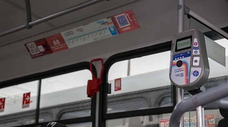 bus
