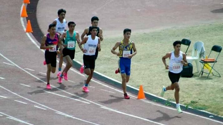 Polvo de aquellos lodos 1 Polvo