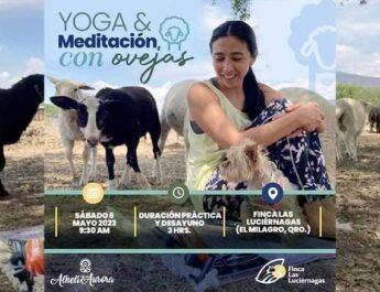 meditacion 1