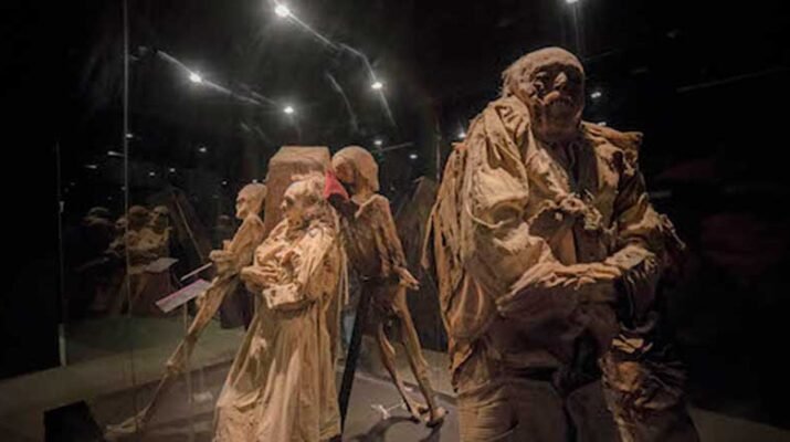 Visita el Museo de las momias en Guanajuato 3 momias