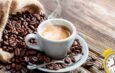 siesta de café