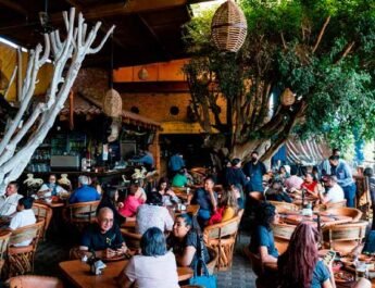 Restauranteros ganan