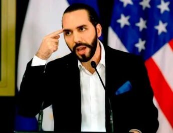 Nayib Bukele