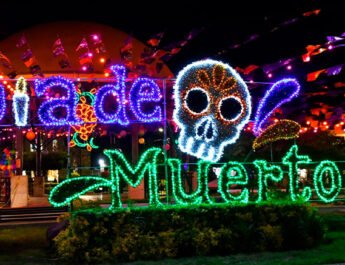Festival del