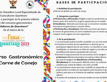 Convocan Concurso