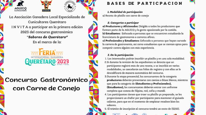 Convocan Concurso