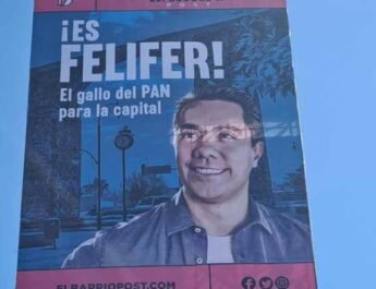 Felifer, una fantasiosa carrera política