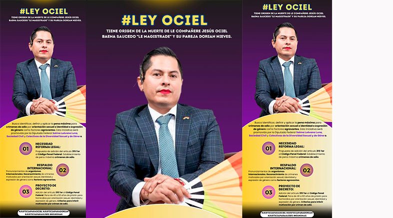Promueven en Querétaro la "Ley Ociel Baena" 2 Promueven en