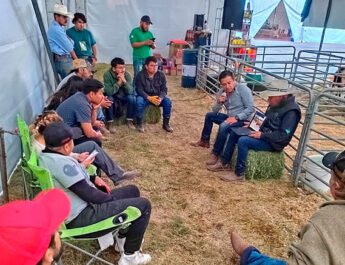 Amplía participación