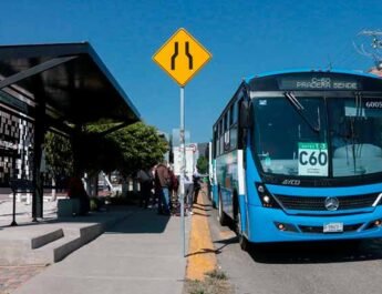 Ruta C60 renueva el 100 por ciento de su flota