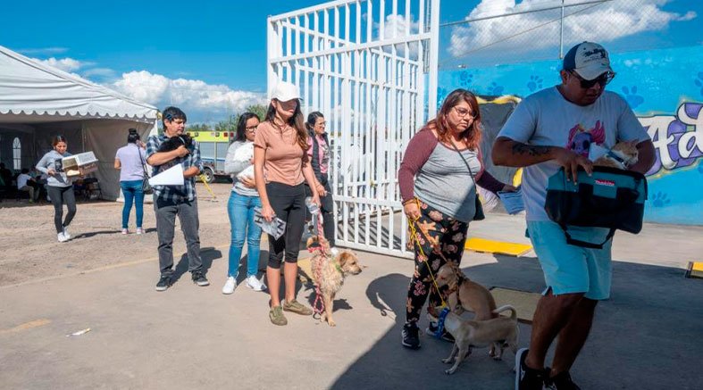 CAAM de El Marqués realiza Campaña Masiva de Esterilización 2 CAAM