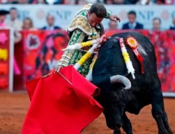 Regresan las corridas de toros a la CDMX