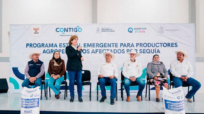 Llevan a productores de Tequisquiapan 156 toneladas de maíz 1 Llevan