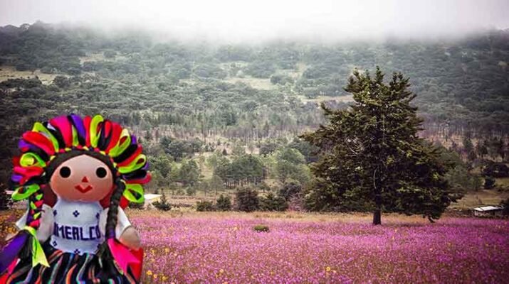 Amealco, un lugar ideal para disfrutar el bosque queretano 1 Amealco