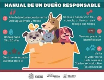 dueno responsable