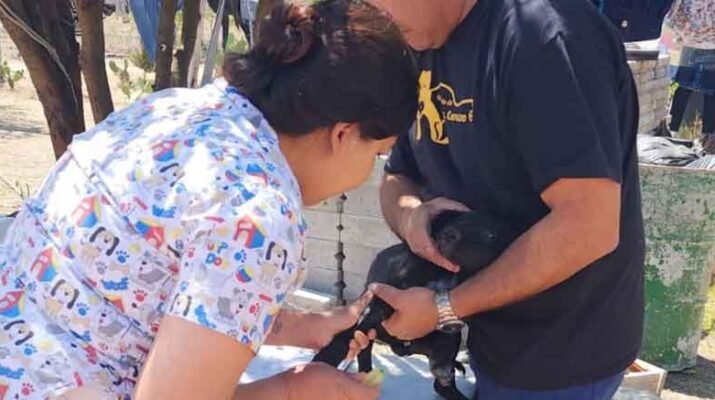 Jornada de Vacunación Antirrábica Canina y Felina 2024 5 Antirrábica