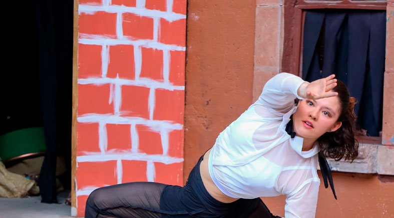 Realizarán Festival 