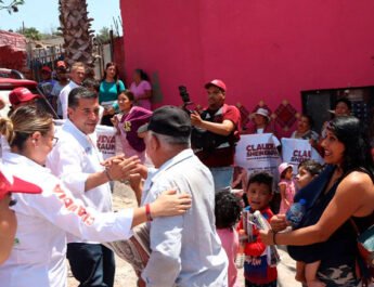 Tapia Ofrece