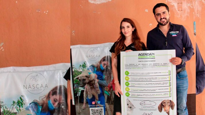 Dorantes Se Pronuncia Por Una Ley De Bienestar Animal 1 Dorantes Se Pronuncia