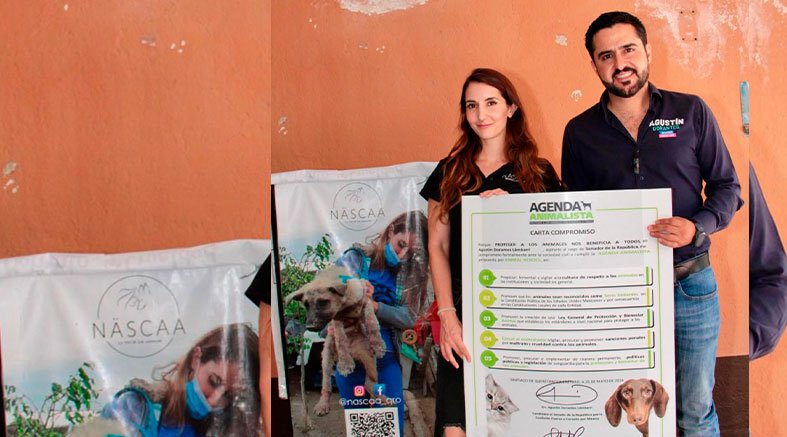 Dorantes Se Pronuncia Por Una Ley De Bienestar Animal 2 Dorantes Se Pronuncia