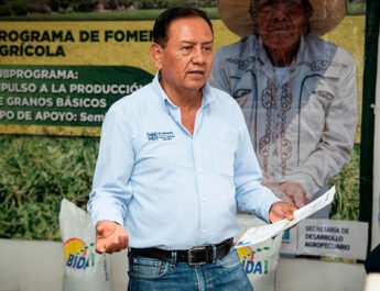 entrega semilla