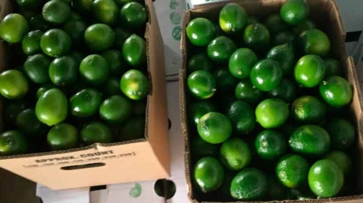 Paralizadas empresas empacadoras de limón en Michoacán 3 Paralizadas