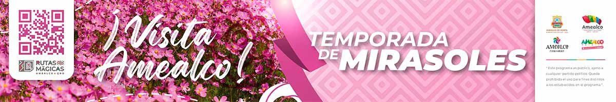 Banner-amealco-1200x200-Sep